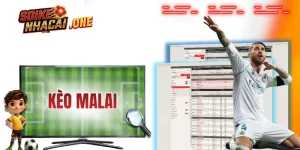 Kèo Malai Là Gì? Giải Thích Cơ Chế Hoạt Động Chi Tiết A-Z
