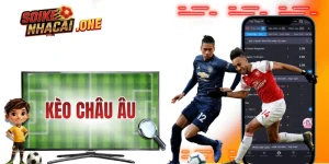 Kèo Châu Âu - Hướng Dẫn Cách Đọc Kèo 3 Cửa Toàn Tập