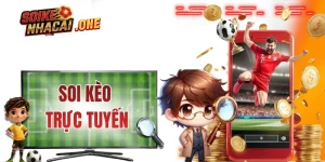 Soi Kèo Trực Tuyến - Tổng Hợp Kiến Thức Và Sai Lầm Năm 2026
