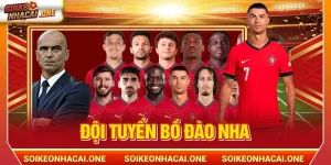 Đội Tuyển Bồ Đào Nha: "Seleccao das Quinas" Và Vị Thế Đại Gia