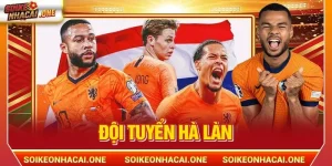 Đội Tuyển Hà Lan: Kẻ Định Hình Tư Duy Bóng Đá Hiện Đại