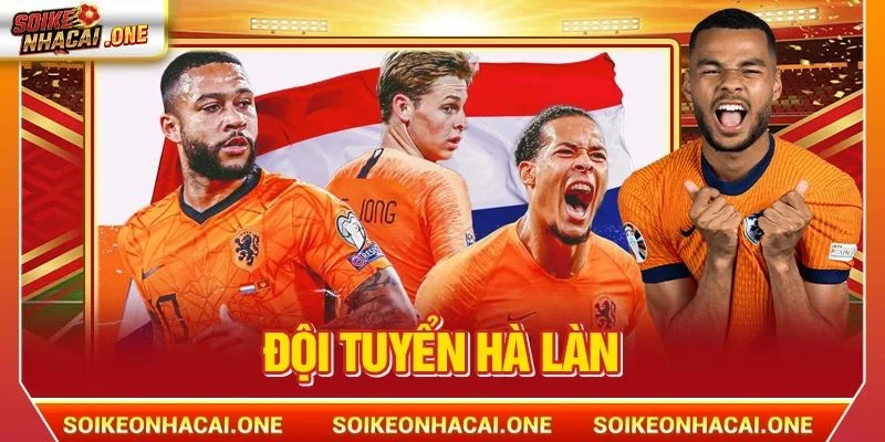 Đội Tuyển Hà Lan: Kẻ Định Hình Tư Duy Bóng Đá Hiện Đại Đội Tuyển Hà Lan: Kẻ Định Hình Tư Duy Bóng Đá Hiện Đại