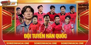 Đội tuyển Hàn Quốc: Ngọn Cờ Đầu Của Bóng Đá Đông Á