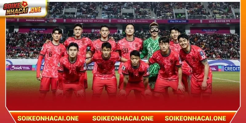 Đội tuyển Hàn Quốc được mệnh danh là mãnh hổ Đông Á.