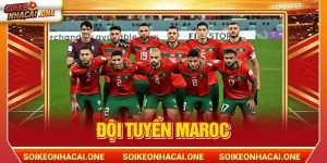 Đội Tuyển Maroc: Atlas Lions - Niềm Tự Hào Của Châu Phi