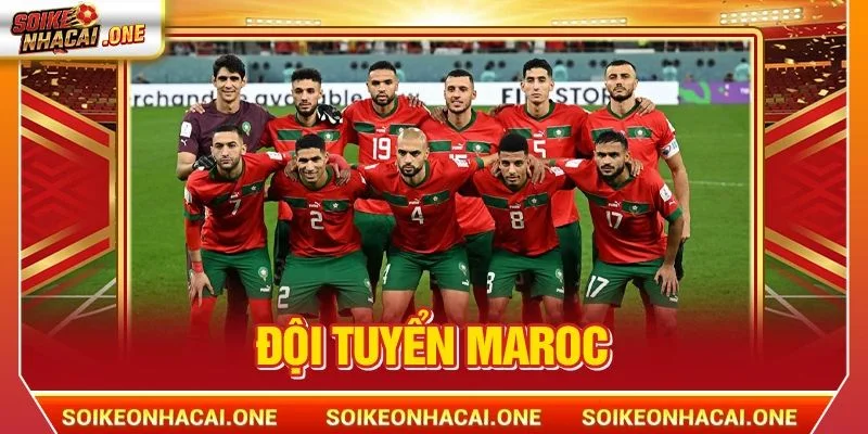 Đội Tuyển Maroc: Atlas Lions - Niềm Tự Hào Của Châu Phi