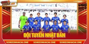 Đội Tuyển Nhật Bản: Hành Trình Quả Cảm Của Các Samurai Xanh