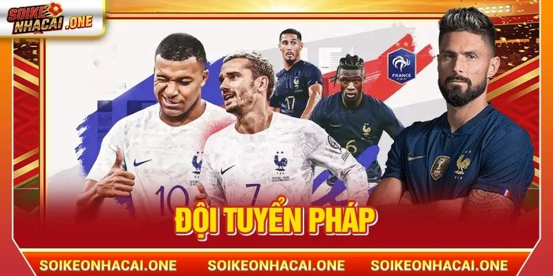 Đội Tuyển Pháp: Hành Trình Les Bleus Chinh Phục Cúp Vàng Đội Tuyển Pháp: Hành Trình “Les Bleus” Chinh Phục Cúp Vàng 2026