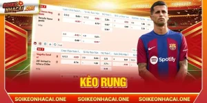 Kèo Rung: 3 Phút Hiểu Toàn Bộ Cách Chơi, Mẹo Cược Bất Bại