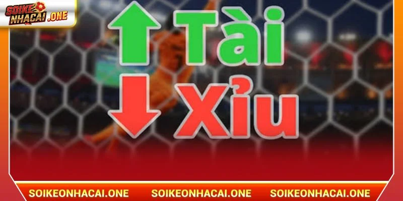Cách Tính Tài Xỉu Trong Bóng Đá Tiêu Chuẩn Như Thế Nào? Kèo Tài Xỉu là một trong những kèo chơi ăn khách hàng đầu tại nhà cái.
