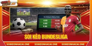 Soi Kèo Bundesliga: Kèo Cá Độ Xanh Chín HOT nhất 2026
