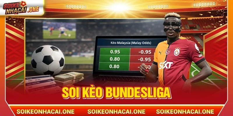 Soi Kèo Bundesliga: Kèo Cá Độ Xanh Chín HOT nhất 2026 Soi Kèo Bundesliga: Kèo Cá Độ Xanh Chín HOT nhất 2026