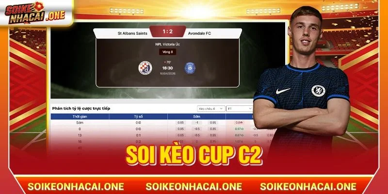Soi Kèo CUP C2: Khởi Động Mùa Giải 2026, Bắt Kèo Xanh Chín Soi Kèo CUP C2: Khởi Động Mùa Giải 2026, Bắt Kèo Xanh Chín