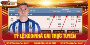 Hiểu Gì Về Tỷ Lệ Kèo Nhà Cái Trực Tuyến ? 5+ Mẹo Chơi